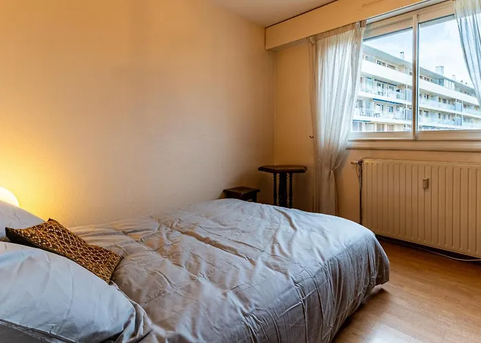 Apartman Le Darcy - Balcon - Centre - 2bdr 2br *