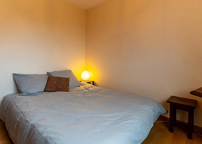 Apartment Le Darcy - Balcon - Centre - 2bdr 2br